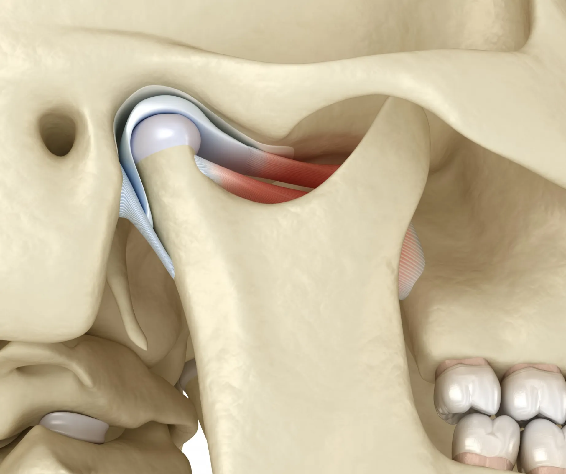Identifica la Disfunción Temporomandibular