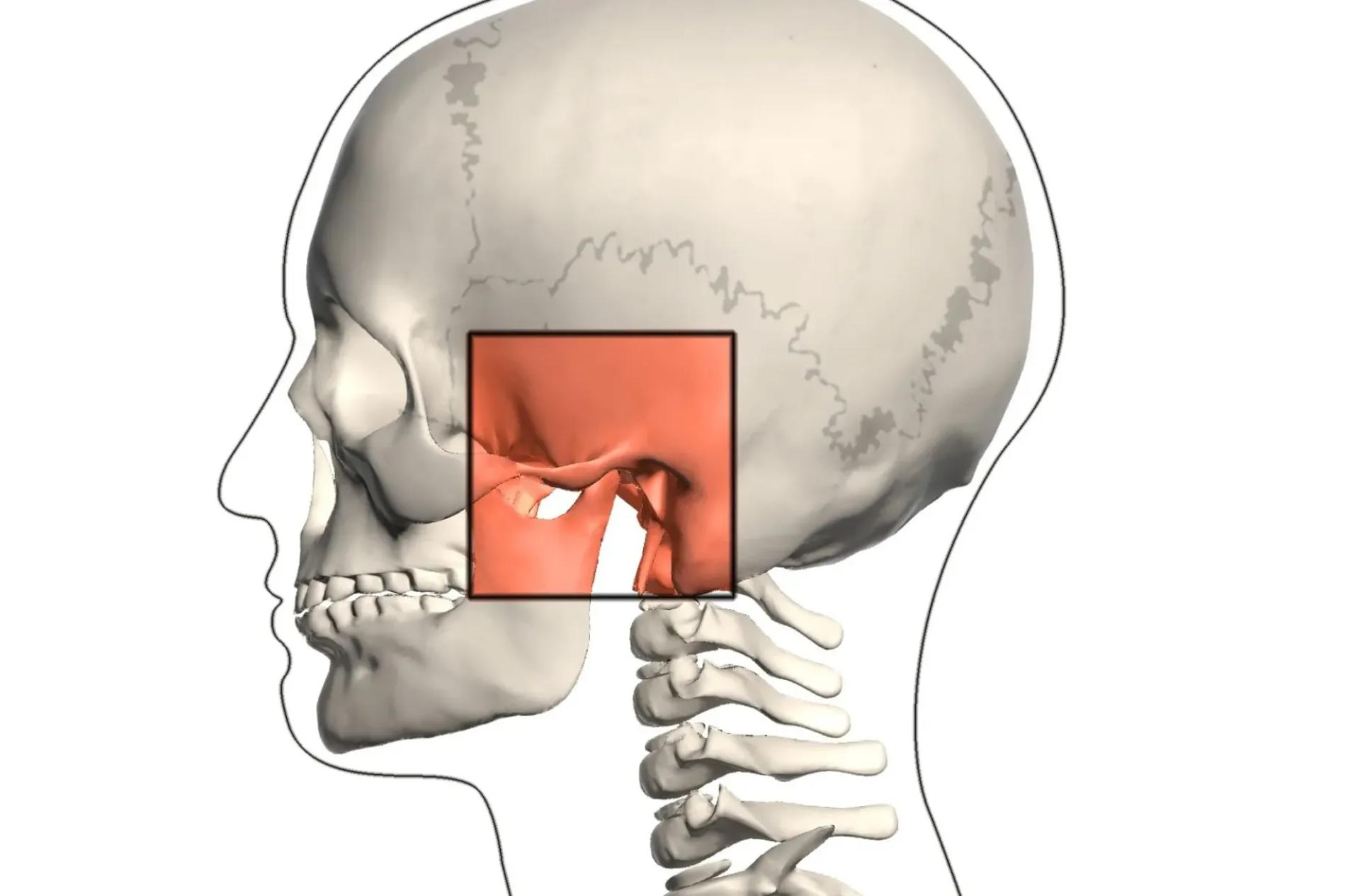 Disfunción temporomandibular (DTM)