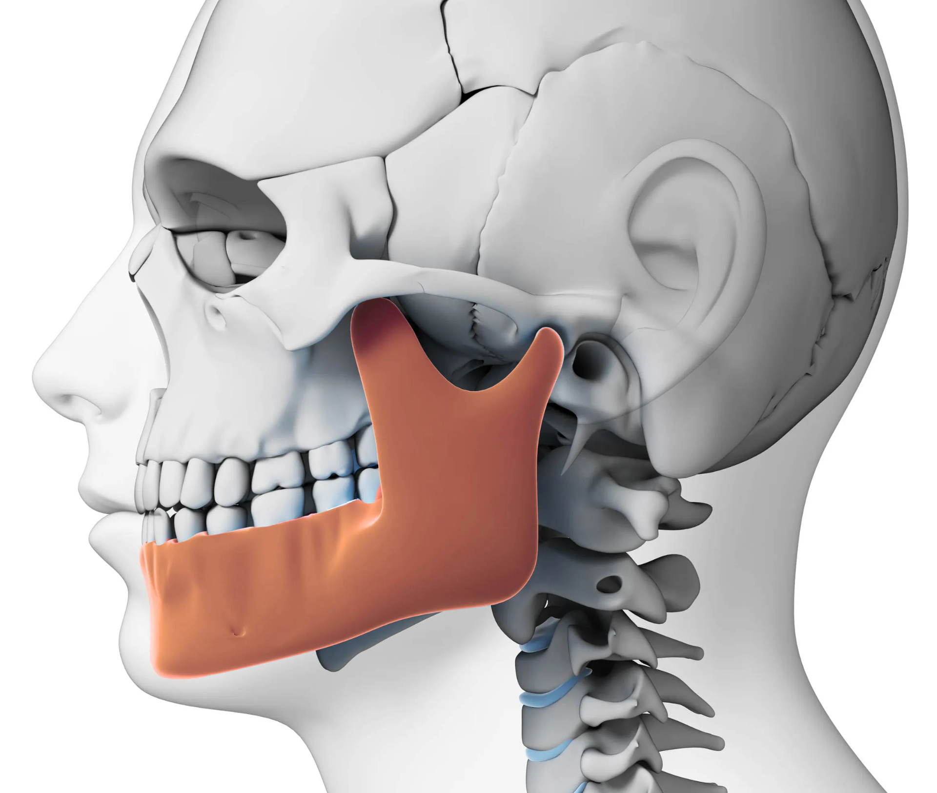 Entendiendo los Trastornos de la Articulación Temporomandibular